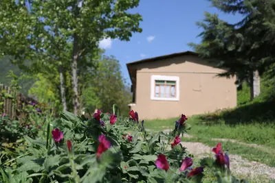 بومگردی سرخدار سیاه رودبار - واحد امید