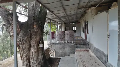 بومگردی سورت - واحد ۱