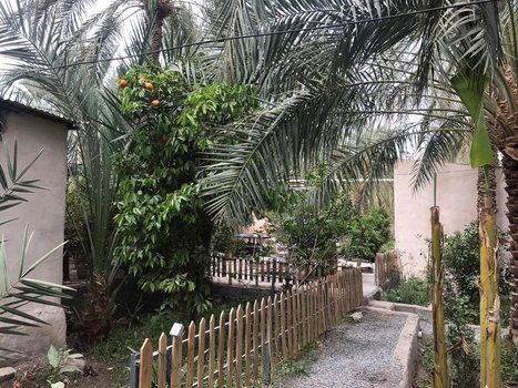 بوم گردی ترنج - واحد نارنج