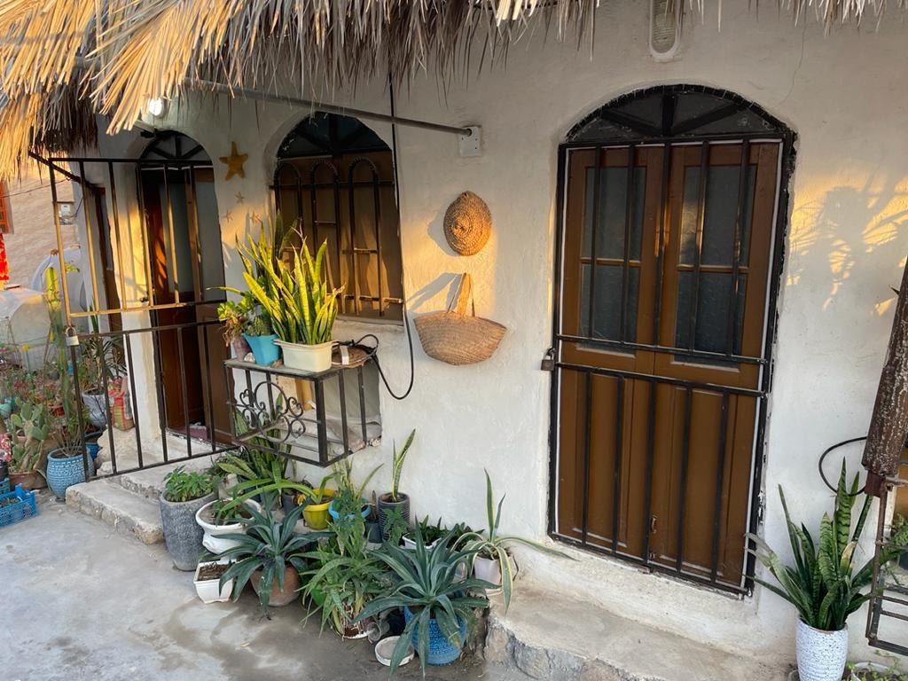 ستاره دریایی بوشهر - واحد ۲ - نما