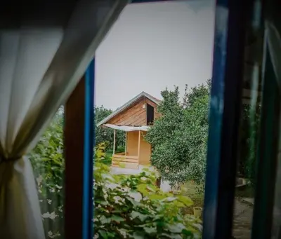 بومگردی نارنجستان شهسوار - واحد ترنج