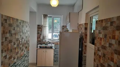 سوئیت فلت جنگلی سرچشمه