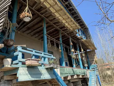 بومگردی حاج علی - واحد بهار