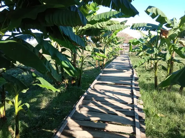 تکراری/ بومگردی باغ ریحان_کلبه وارش - باغ ریحان