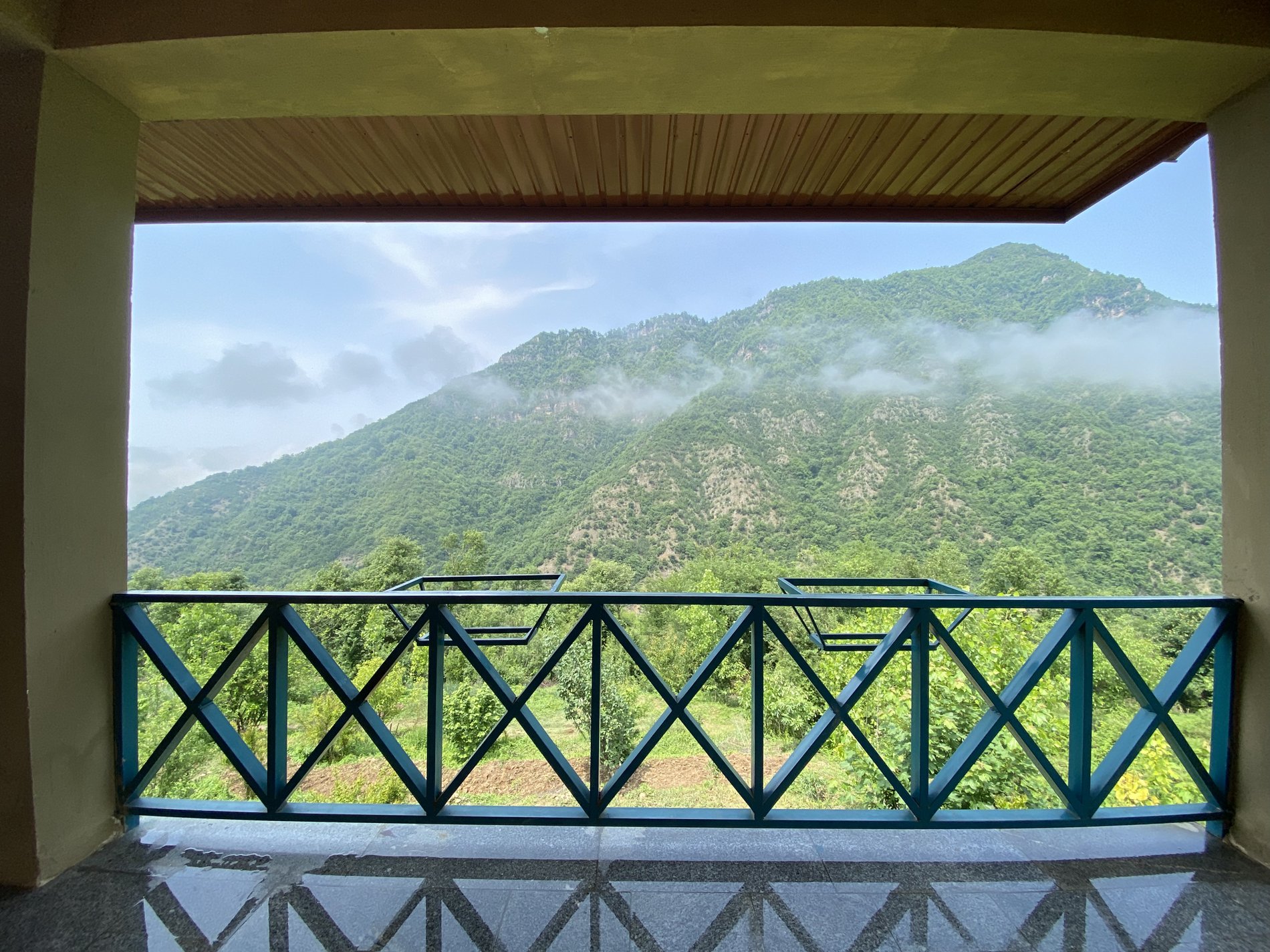 بومگردی ریگ چشمه - پاییز طبقه بالا