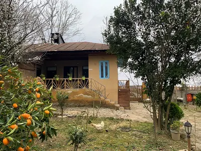 بومگردی عنبر بو - واحد 8