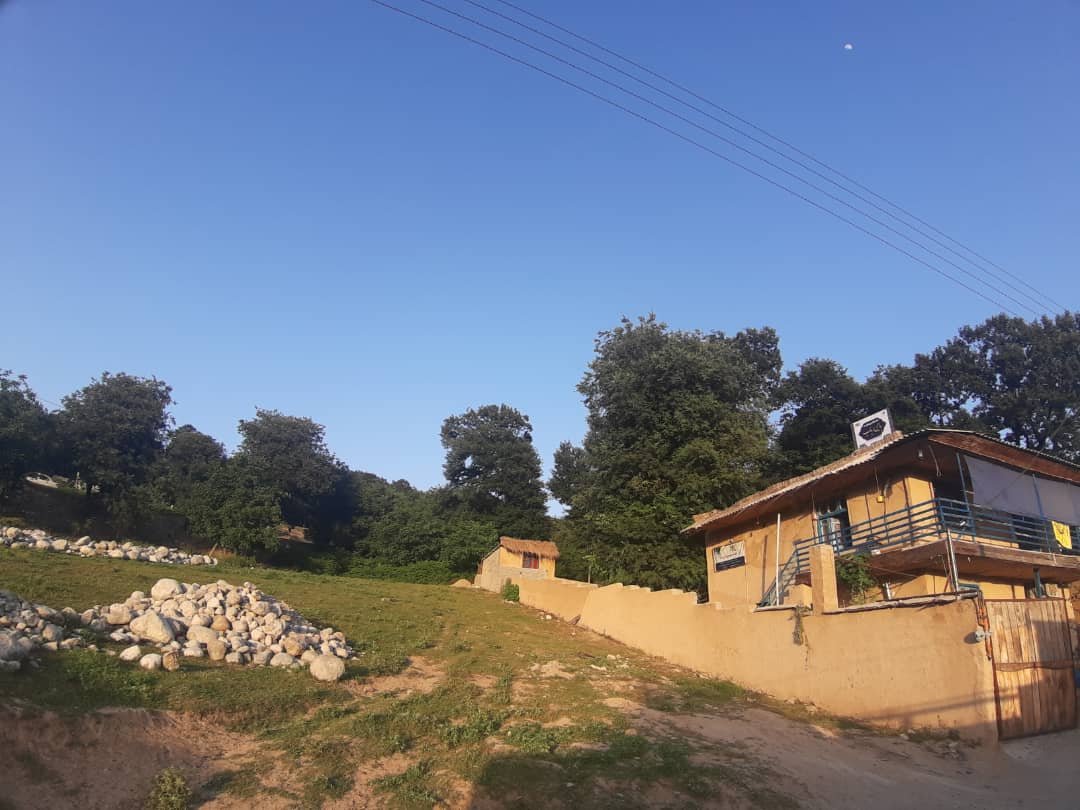 بومگردی باجی رباب - اتاق جنگلی