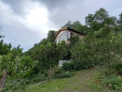 کلبه یک خوابه جنگلی بالی