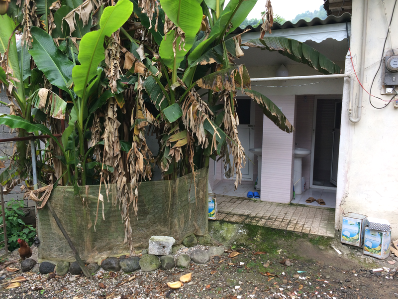 بومگردی بام های سفالی - واحد زمرد