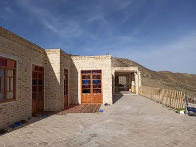 بومگردی گل عاشق - بید ۳