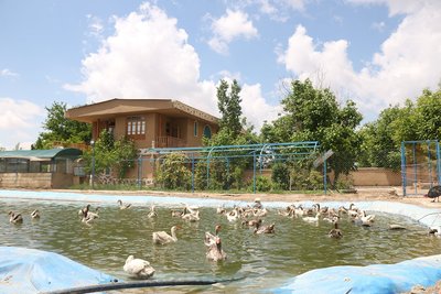 بومگردی مزرعه عارف خرقانی - واحد 3