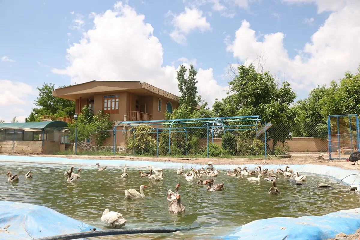 بوم گردی مزرعه عارف خرقانی - واحد 3 - حیاط