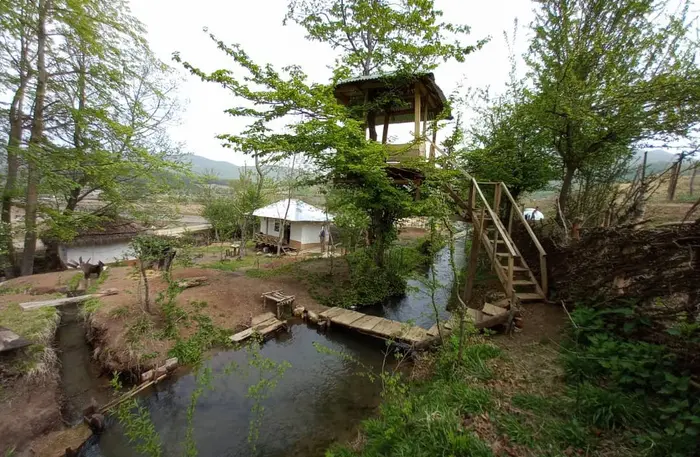 کلبه فلت اسیو پیش - نما و فضا