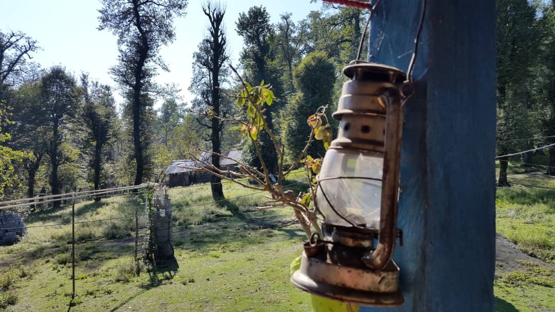 بومگردی فلت ویشه