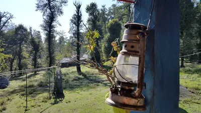 بومگردی فلت ویشه