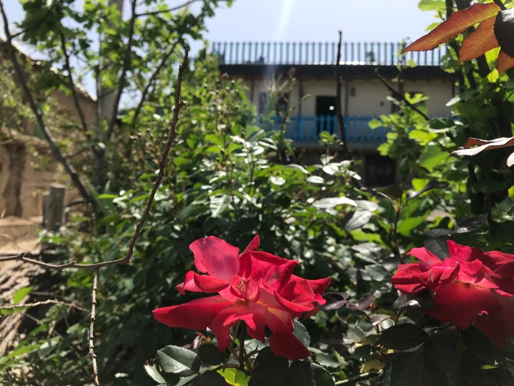 بوم گردی بام ساسنگ مینودشت - واحد بلوط - بیرونی