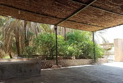 بومگردی نبکا - واحد پرتغال