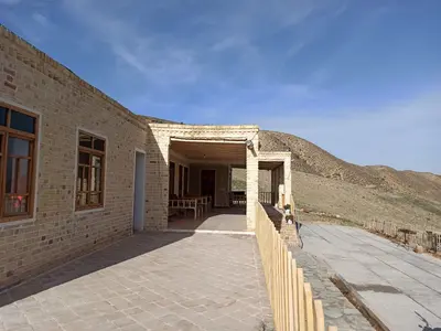 بومگردی گل عاشق - بید ۴