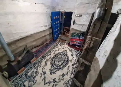 بومگردی فلت ویشه