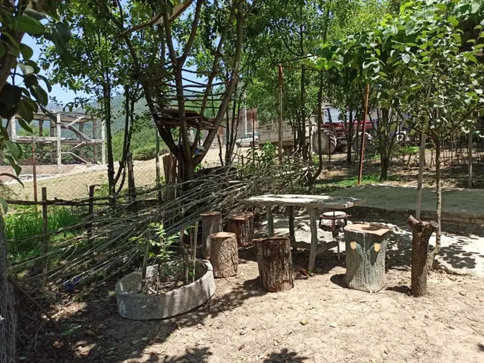 اقامتگاه سنتی عمو صفا - واحد یک - فضا