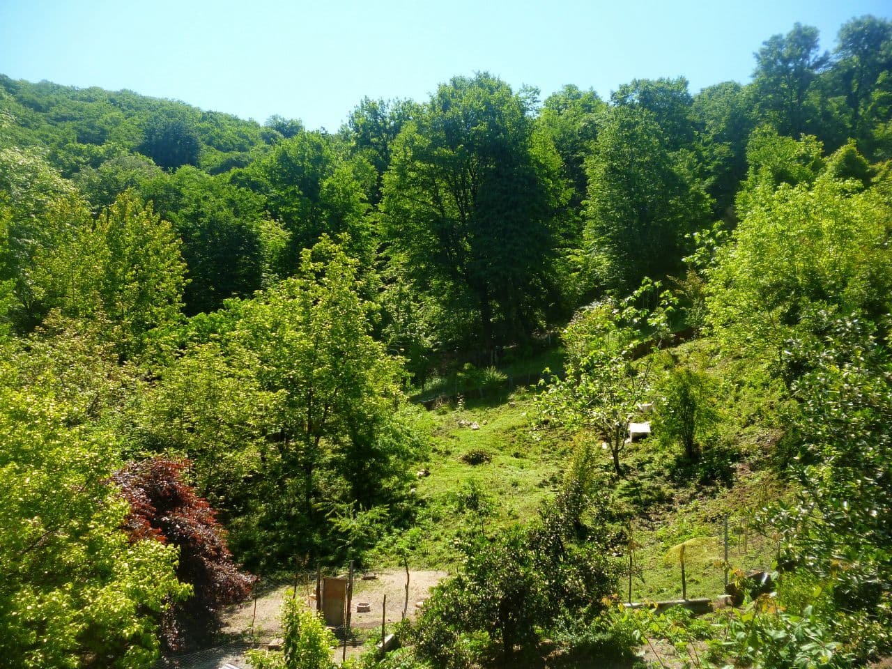 کلبه افضل بالاکلسی