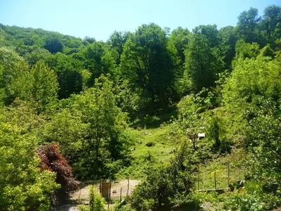 کلبه افضل روآر - واحد  یک خوابه بالاکلسی