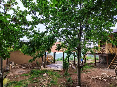 کلبه یک خوابه نماشان توکا