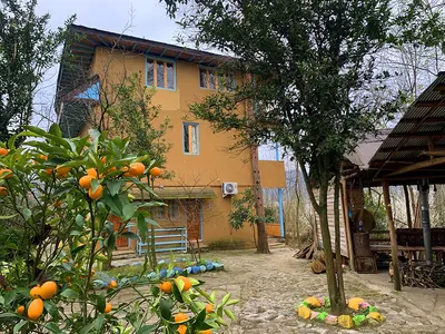 بومگردی عنبر بو - واحد 7