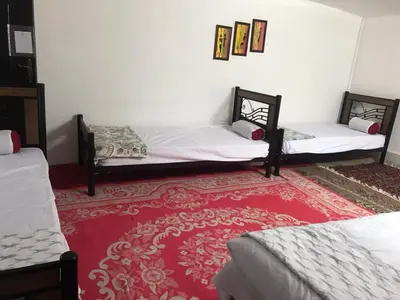 بومگردی ترنج - واحد شب بو