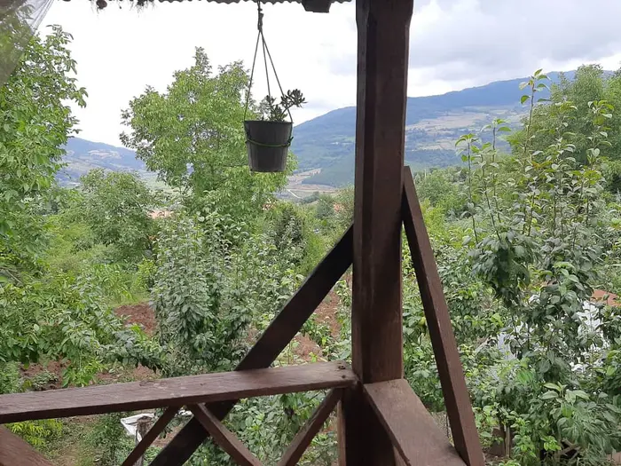 کلبه سر تلار - ویو