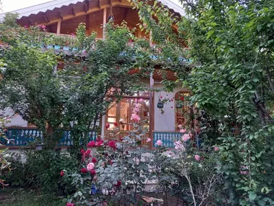 بومگردی بانوی گیلان - واحد گلها