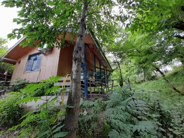 چوبی جنگلی کلبه ماهان - نمای کلی 