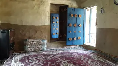 بومگردی فلت ویشه