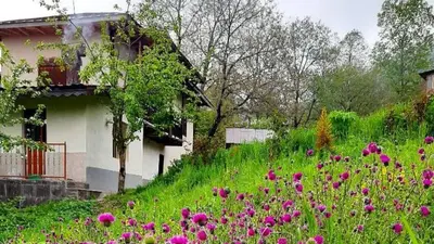 کلبه دوخوابه آرامش