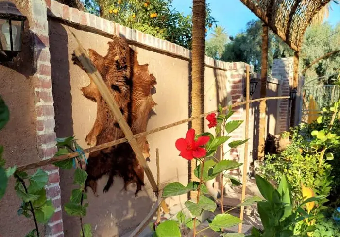 بوم گردی کلوت حرفه ای شهداد - واحد 11 - کلوت شهداد