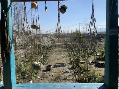 بومگردی حاج علی - واحد بهار