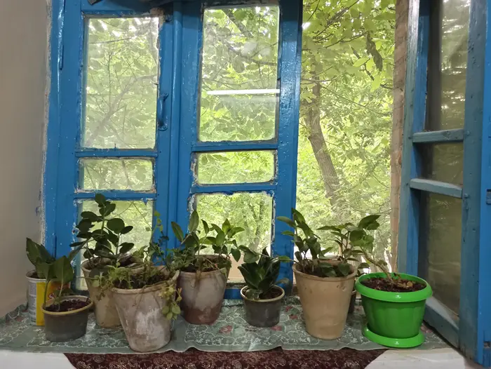 بوم گردی استو - واحد ۲ - داخلی