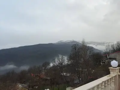 بومگردی کوهستانی مهسا