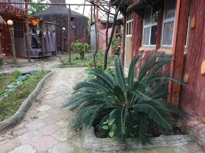 بومگردی پاسارگاد - واحد 1