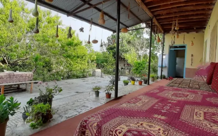 کلبه افرا مازندران - سکو