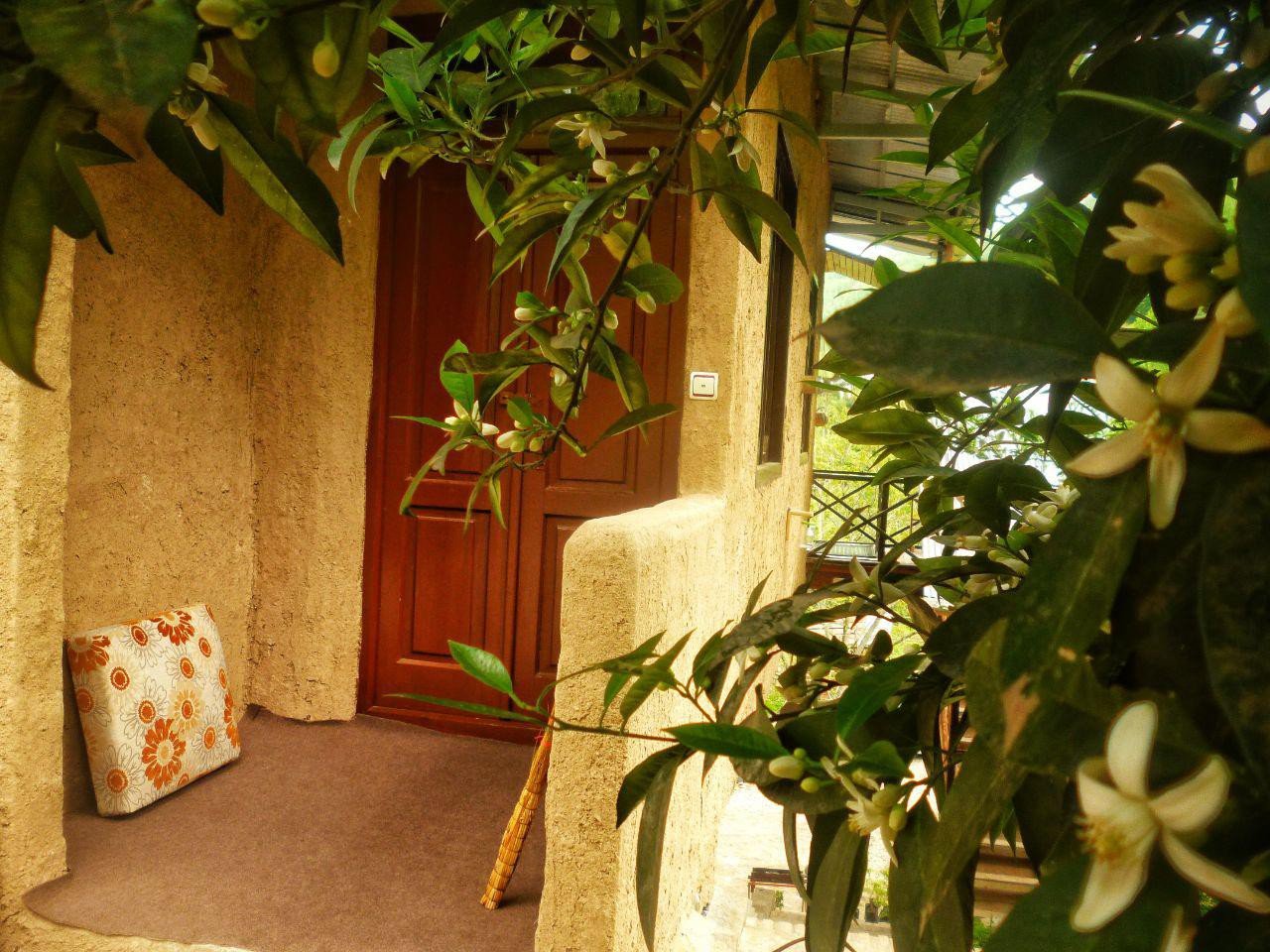 افضل روآر - واحد نشیمن - ورودی