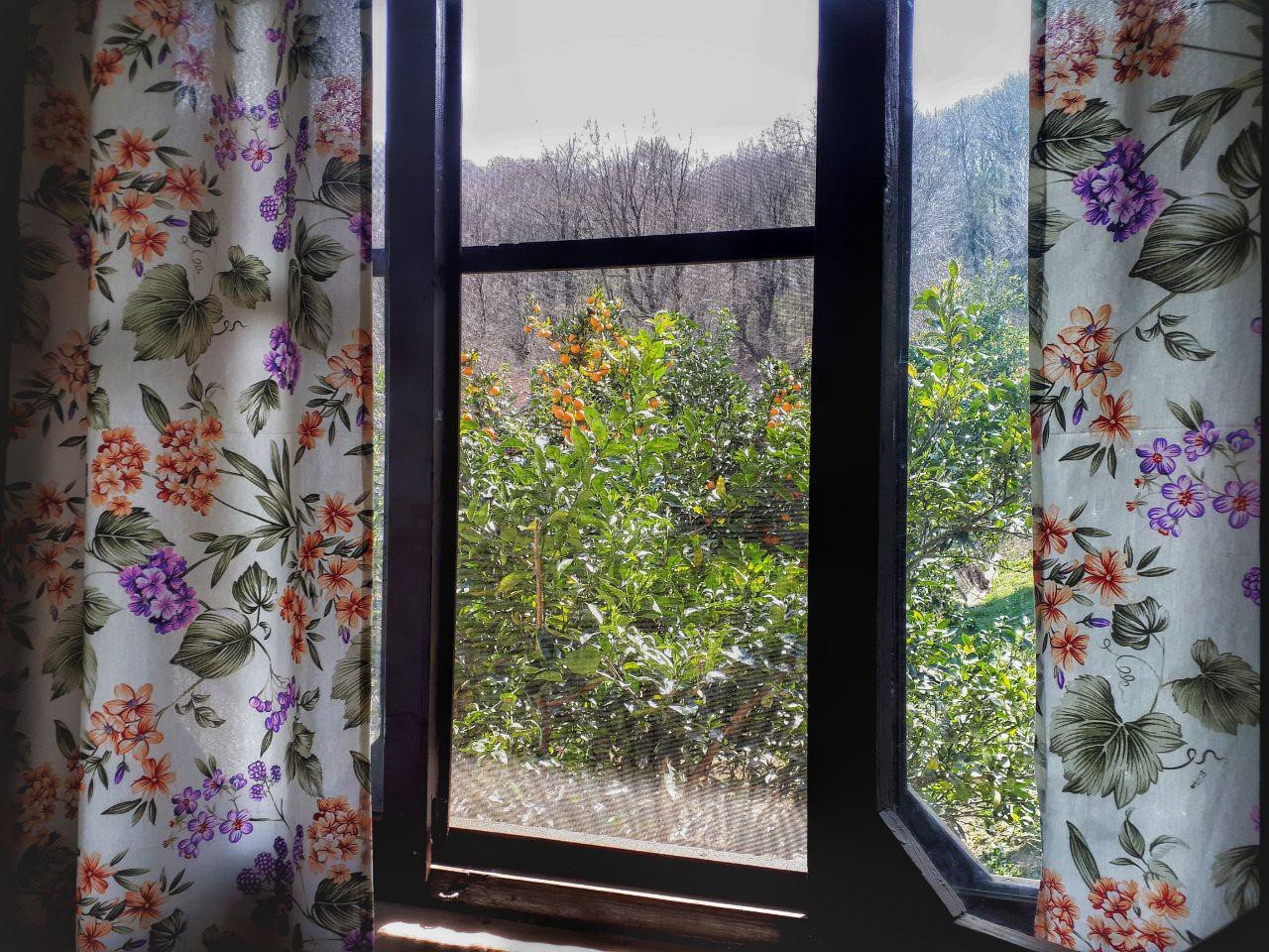 افضل روآر - واحد نشیمن - پنجره