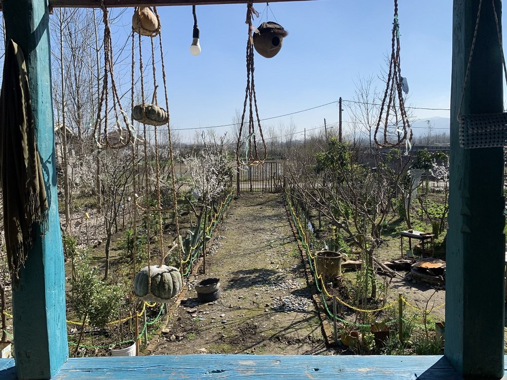 حاج علی - واحد گلبرگ