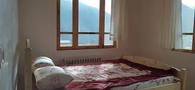 کلبه یک خوابه جنگلی واز