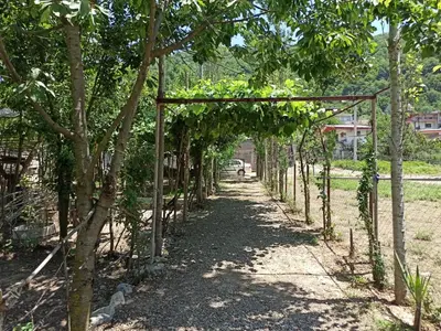 اقامتگاه سنتی عمو صفا - واحد یک