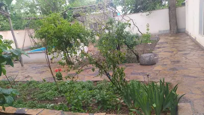 بومگردی یک خوابه درختی واحد 1