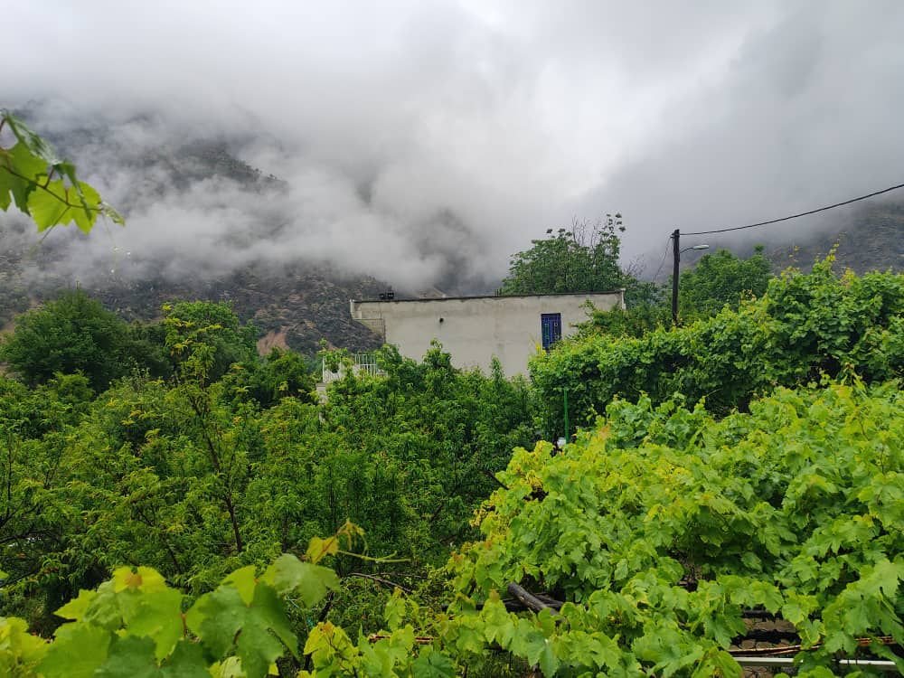 ویلا یک خوابه باغ شیوند