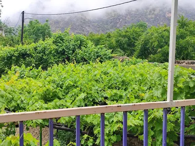 ویلا فلت شیوند