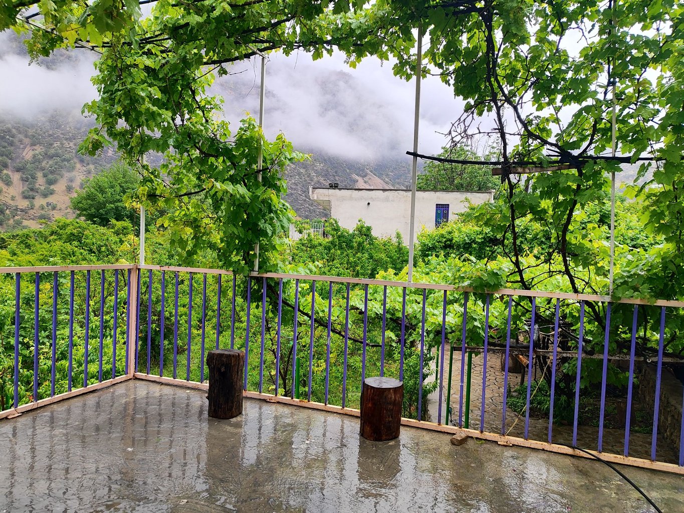 ویلا فلت شیوند