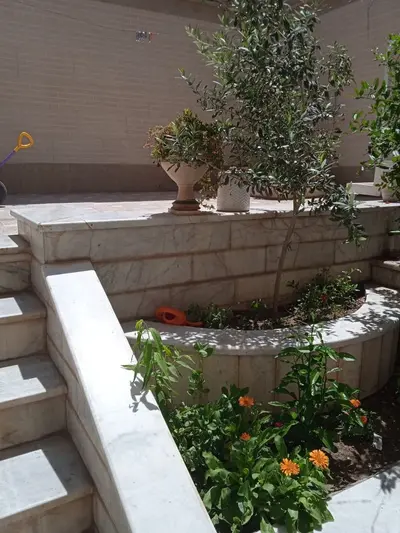 آپارتمان یک خوابه گلخونه دلباز ۱